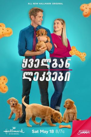 ყველგან ლეკვები / Everything Puppies ყველგან ლეკვები / Everything Puppies