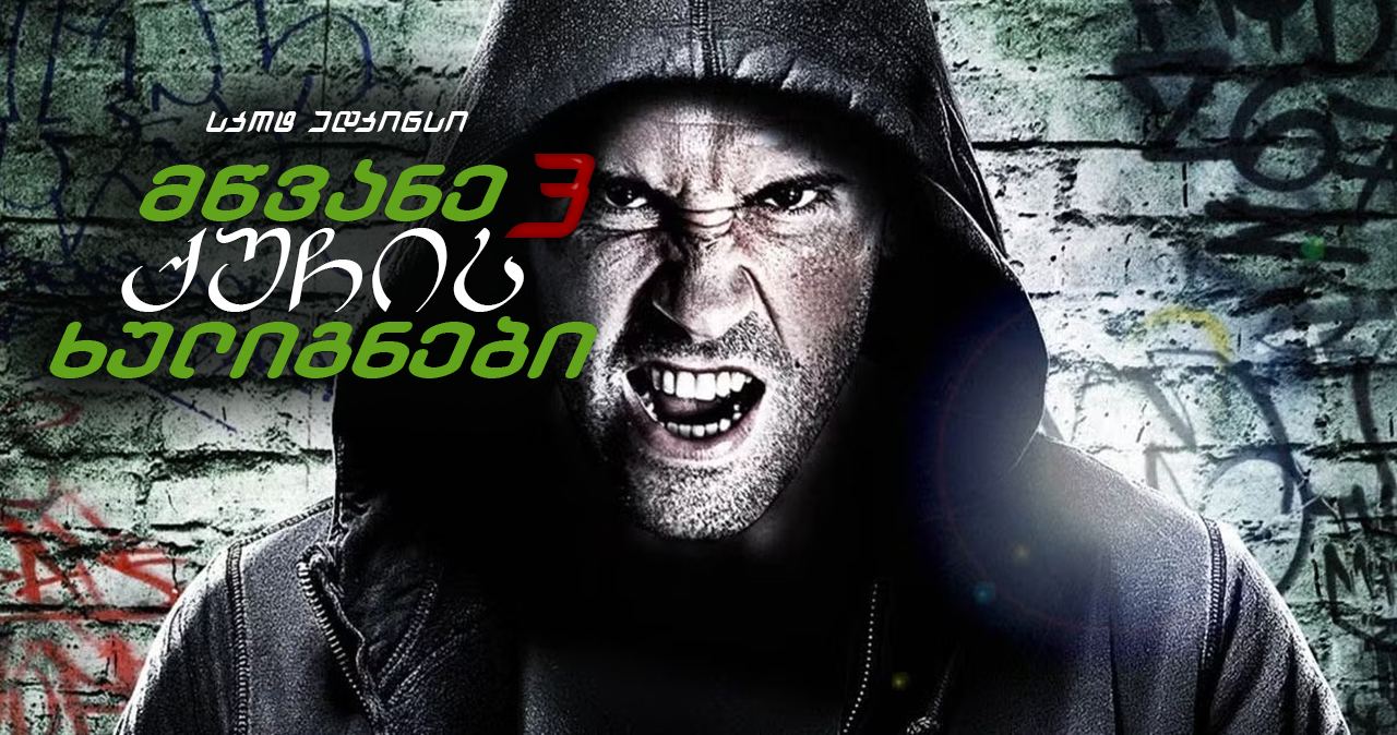 მწვანე ქუჩის ხულიგნები 3 / Green Street Hooligans 3: Never Back Down